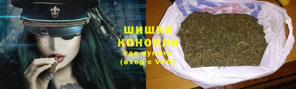 сатива Арсеньев