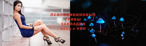 сатива Арсеньев