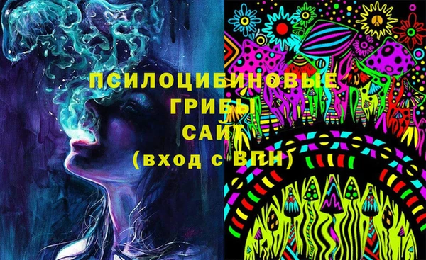 сатива Арсеньев