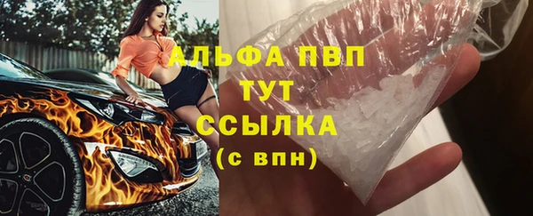 сатива Арсеньев