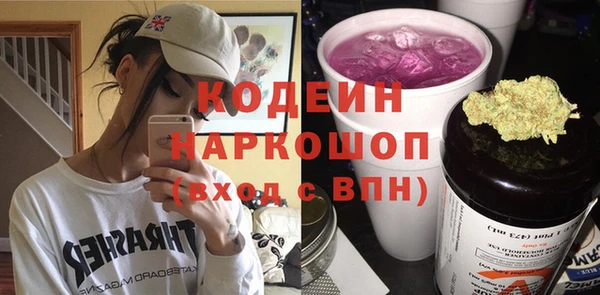 сатива Арсеньев