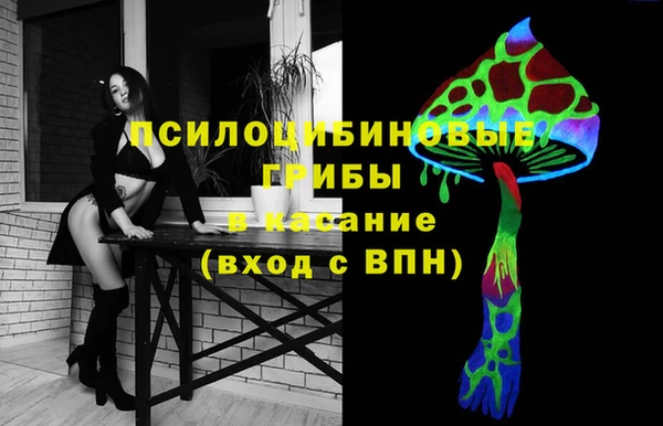 сатива Арсеньев